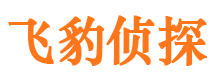 老河口侦探社